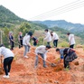 Phát động chiến dịch ‘Trồng rừng, Vững sống’, trao tặng 20.000 cây xanh cho Mù Cang Chải
