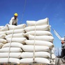 Thách thức xuất khẩu gạo 6 tháng cuối năm