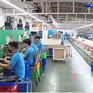 Hà Nội tổ chức 55 phiên giao dịch việc làm trong quý I/2023