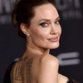 Angelina Jolie gặp gỡ tỉ phú vì công việc, không hẹn hò