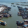 Việt Nam hành động vì một nghề cá bền vững