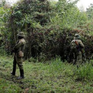 Congo: Các tay súng bắn chết hai nhân viên kiểm lâm ở Công viên quốc gia Virunga