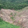 Phát hiện gần 5 ha rừng tự nhiên bị tàn phá trái phép tại Gia Lai
