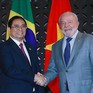 Hợp tác kinh tế Việt Nam - Brazil còn nhiều dư địa phát triển