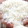Philippines tìm giải pháp giảm giá gạo