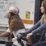 Xe đạp gây tắc đường tại thủ đô nước Pháp