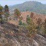 Điện Biên cảnh báo cháy rừng cấp V - cấp cực kỳ nguy hiểm