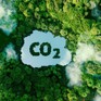 Mitsubishi hợp tác với Shell để thu trực tiếp CO2 từ không khí