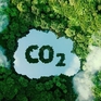 Việt Nam sở hữu tiềm năng lớn về thị trường tín chỉ carbon