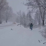 Phần Lan chứng kiến tuyết bất thường cuối mùa xuân