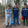 Phú Quốc: Bắt 3 đối tượng phá hơn 2.000m2 đất rừng đặc dụng