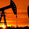 Nga hạ dự báo giá dầu xuất khẩu