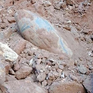 Nghệ An: Vận chuyển quả bom 340 kg đến địa điểm hủy nổ an toàn