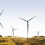 Năng lượng gió - nguồn cấp điện chính của Đức