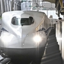 Hy hữu: tàu cao tốc Nhật Bản phát hiện có rắn ở trên khoang tàu