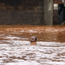 Vỡ đập ở Kenya nâng số nạn nhân chết vì lũ lụt lên hơn 120 người