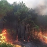 Thủ tướng chỉ đạo quyết liệt triển khai các biện pháp phòng cháy, chữa cháy rừng trên phạm vi cả nước