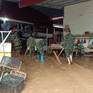 Mưa đá, dông lốc tại Điện Biên làm 3 người bị thương, hàng trăm ngôi nhà hư hại