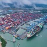 TP Hồ Chí Minh: Tận dụng mọi nguồn lực để hỗ trợ xuất khẩu