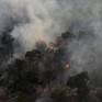 Diện tích rừng Amazon cháy tại Brazil cao kỷ lục trong 25 năm