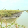 Bảo đảm an ninh nguồn nước cho Đồng bằng sông Cửu Long
