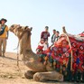 Du lịch Trung Đông tăng trưởng bất chấp biến động
